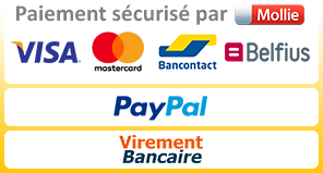 Secure payment.png